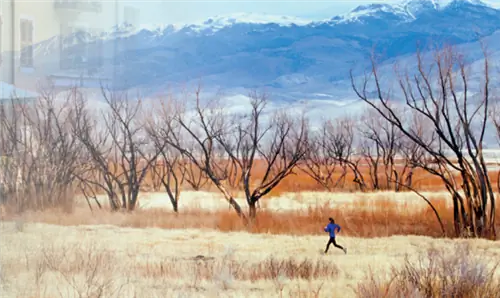 Бегун в Восточной Сьерре