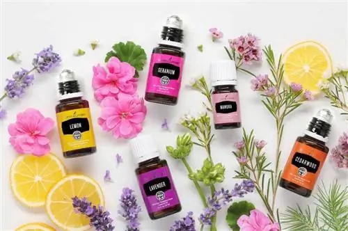 Эфирные масла Young Living