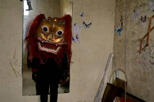 Костюм дракона