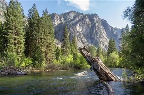 Кингс-Каньон, Калифорния