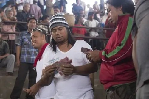 Иствуд_08192013Петушиный бой_1512