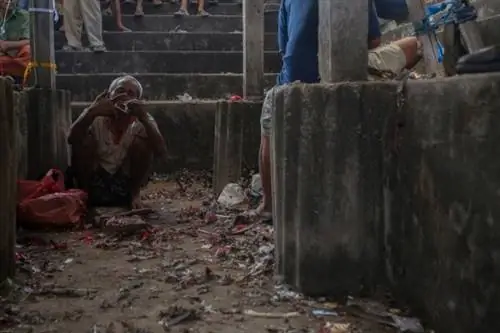 Балийский петушиный бой в Иствуде 014