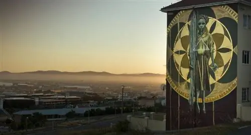 История новейшей уличной фрески в Кейптауне