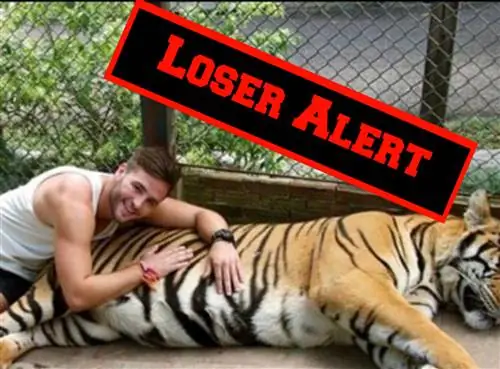 Важная история всех этих парней, публикующих фотографии тигров в Tinder