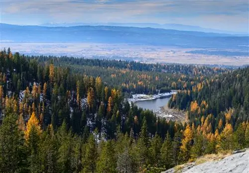 Осенняя листва в Айдахо