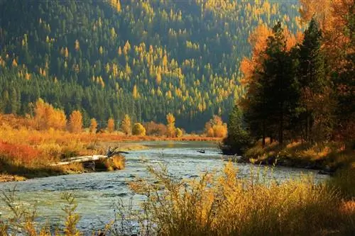 Река Кларк-Форк, Монтана