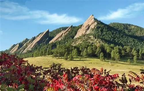 Boulder Flatirons с красной листвой сумаха