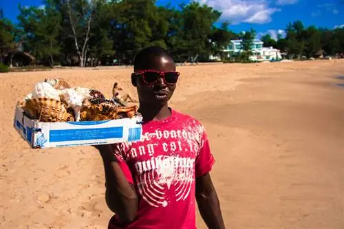 Почему я не хочу, чтобы кто-нибудь из вас ездил в Тофо, Мозамбик