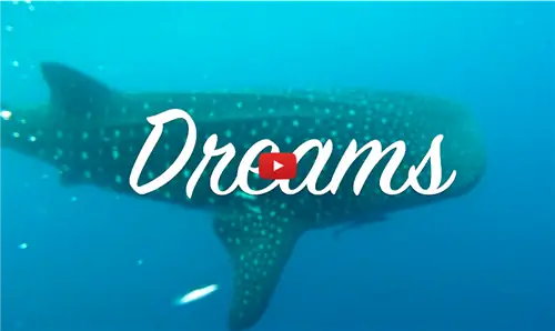 Мечты о Канкуне: как оставаться креативным в пиар-поездке