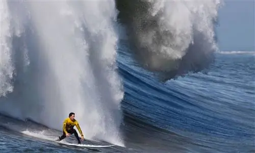 «Кенни Скиндог Коллинз катается на огромной волне в Mavericks Surf Contes 2009/2010»