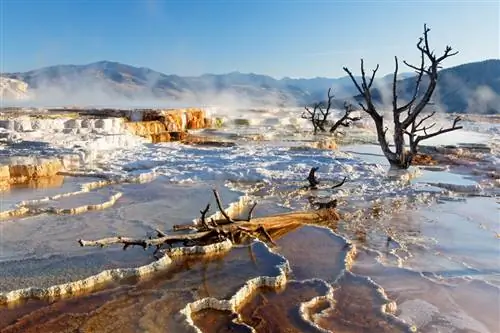 Слишком многим фотографиям не хватает РЕЗКОСТИ. Вот 10 простых шагов для получения четких снимков