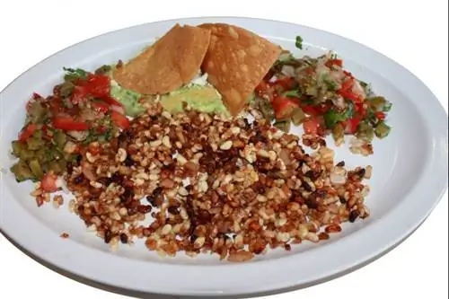 ant_larvae_tacos