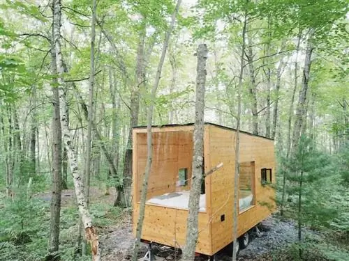 Это путешествие приведет вас к самым популярным Airbnb на Среднем Западе