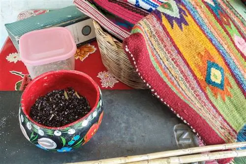 Где познакомиться с культурой коренных народов сапотеков в Мексике Где познакомиться с культурой коренных народов сапотеков в Мексике