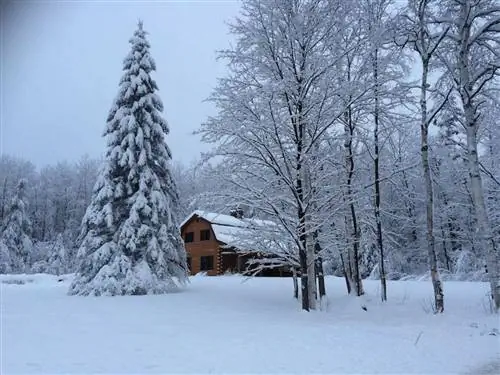 Удаленная горная хижина в снежный день в Вермонте