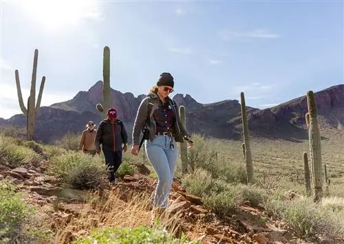 9 приключений для вашей поездки в Аризону на всю жизнь