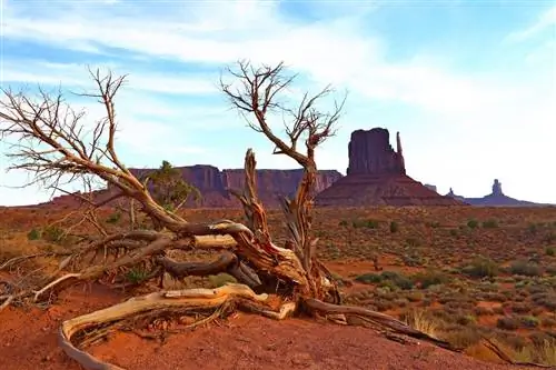 Пустынный пейзаж с каменным холмом в Долине монументов в Юте