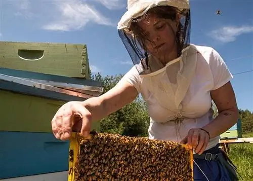 Пчеловод Сара МакКинни