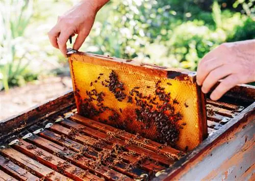 7 лучших мест в США для изучения нового хобби