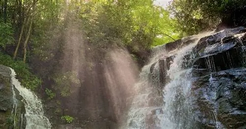 Как провести идеальные выходные в горах в округе Джексон, Северная Каролина