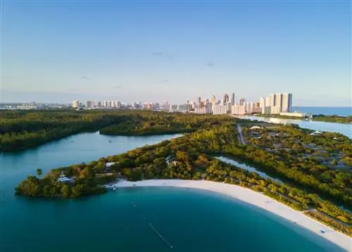 Вид с воздуха на государственный парк Олета-Ривер недалеко от Майами, Флорида.