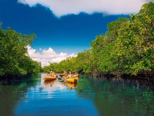 7 самых диких уголков природы на пляжах Форт-Майерса & Sanibel