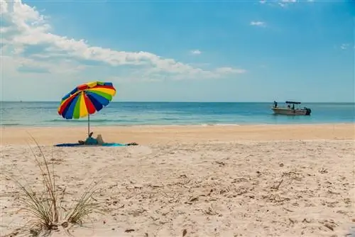 Государственный парк Ловерс-Ки, Флорида, Форт-Майерс, Санибел