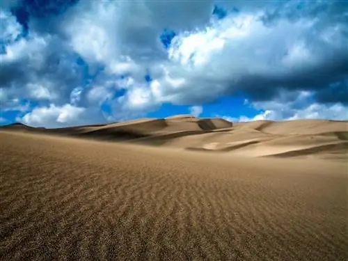 2колорадо