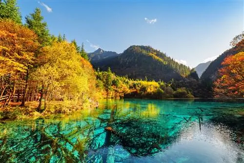 Озеро пяти цветов в национальном парке долины Цзючжай в Китае