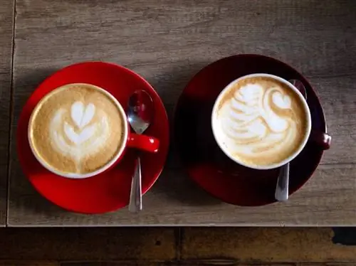 Кофейня Coftale в Бухаресте, Румыния