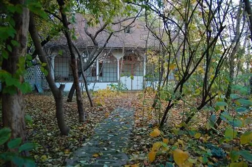 Ceai la Metoc в Бухаресте, Румыния