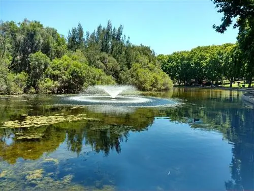 парки в перте австралия - гайд парк