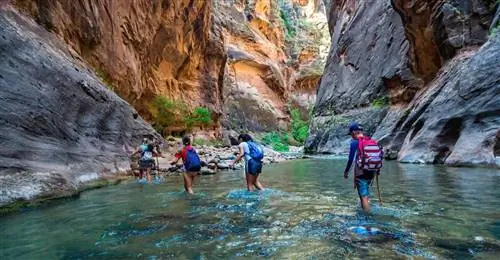 Полное руководство по программе бесплатного пропуска в национальный парк 4-го класса