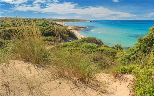 италия пляжи заповедник в апулии