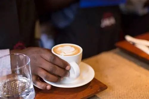 Чашка кофе от Java House в Найроби