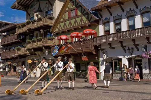 Летний опыт Альфорнс Ливенворт