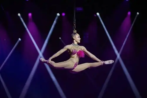 шоу в лас вегасе