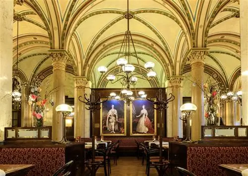 7 лучших кофеен в Вене