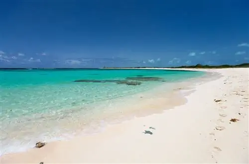Красивый тропический пляж с пальмами, белым песком, бирюзовой водой океана и голубым небом в Анегаде, Британские Виргинские острова