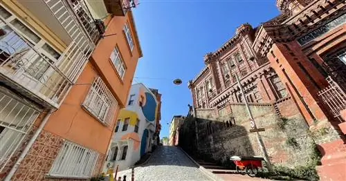 Фото: Алекс Бреслер