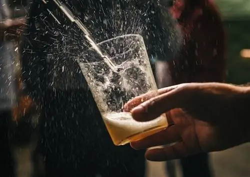 Вы влюбитесь в традиции дикого сидра Страны Басков