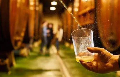 Баскская традиция розлива сидра