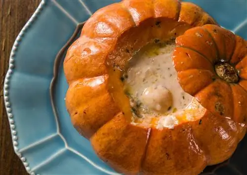 11 классических рецептов тыквы со всего мира