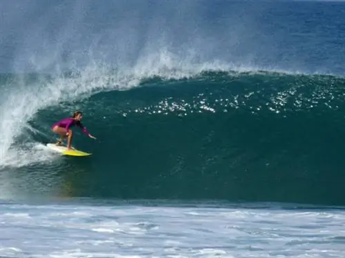 Пунта-де-Сикатела - от Talibán Surfboards