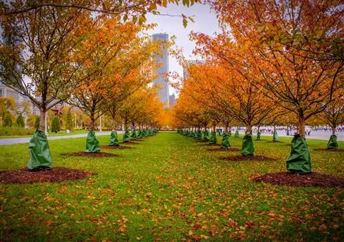 7 идеальных вещей, которые можно сделать осенним днем в Чикаго