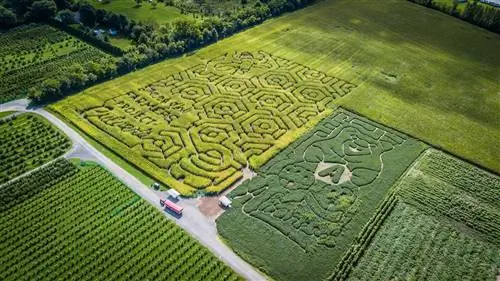 Сад графства Лайн в Индиане