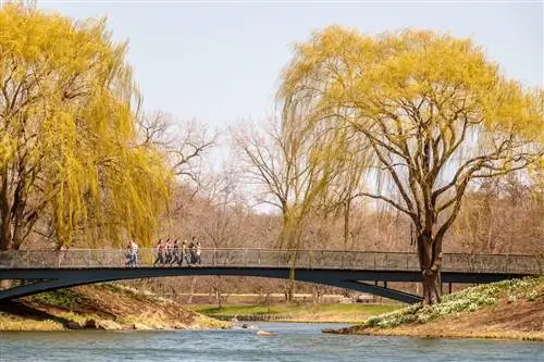 Ботанический сад Чикаго