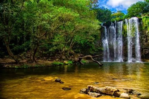 либерия коста рика прямые рейсы из Лос-Анджелеса