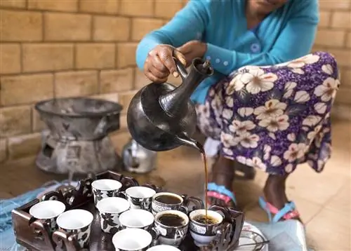 5 самых эпичных кофеен в мире