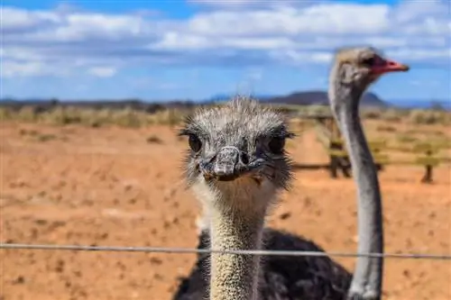 семейный отдых в Кейптауне